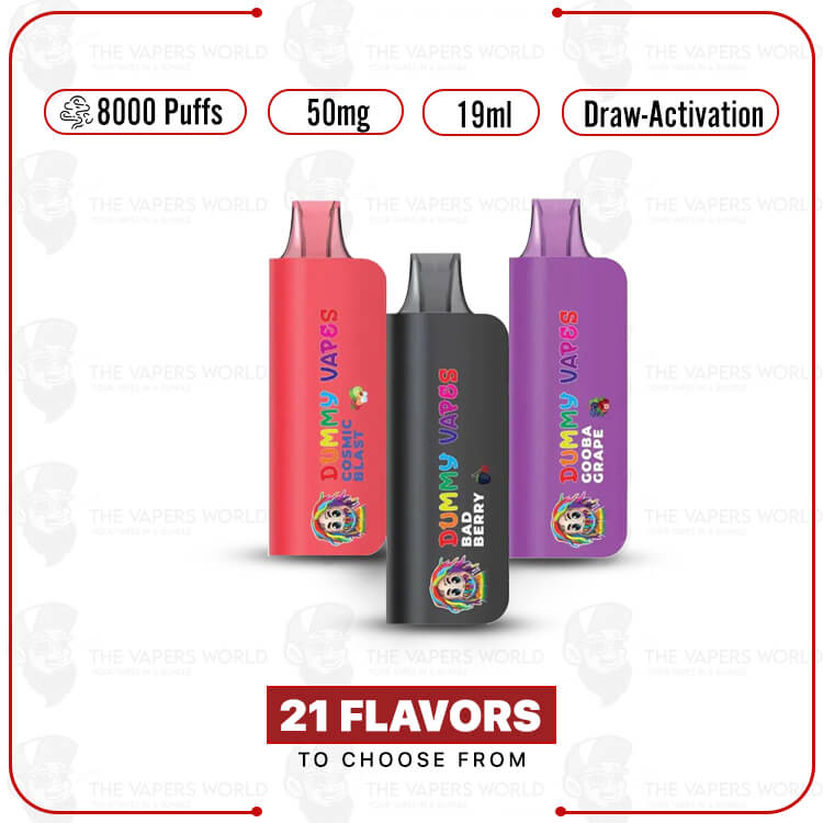 Dummy-Vapes-8000-Puff-Disposable-Vape.jpg Dummy Vapes 8000 Puff Disposable Vape - Image 1