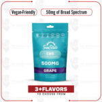 The Vape Avenue Broad Spectrum CBD Gummy Grab N’ Go Bag 10ct