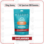 Full Spectrum Hemp Gummy Grab N’ Go Bag